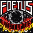Foetus Interruptus: Thaw